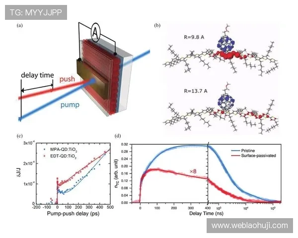 PT电子结构在不同压力条件下的变化与电子态调控研究 PT电子结构在不同压力条件下的变化与电子态调控研究