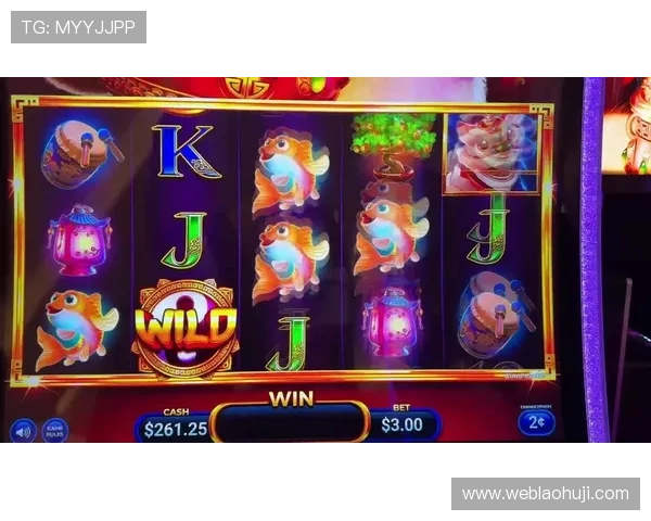 奔驰宝马老虎机技巧教学帮助新手快速掌握老虎机游戏的核心技巧