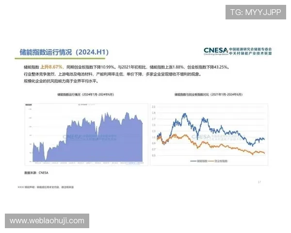 2024年水果老虎机价格趋势预测,影响价格变动的主要因素解析