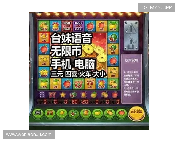 全面分析国际老虎机平台推荐担保机制确保玩家资金安全与游戏公平公正