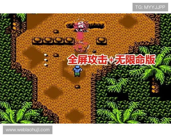 专业评测FC游戏ROM下载网站，助你找到最优质的游戏资源和下载体验