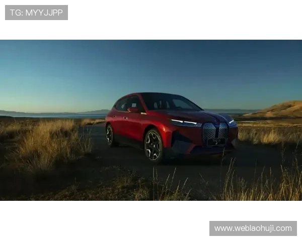 奔驰宝马老虎机如何选择：购买与体验豪华品牌老虎机的实用建议